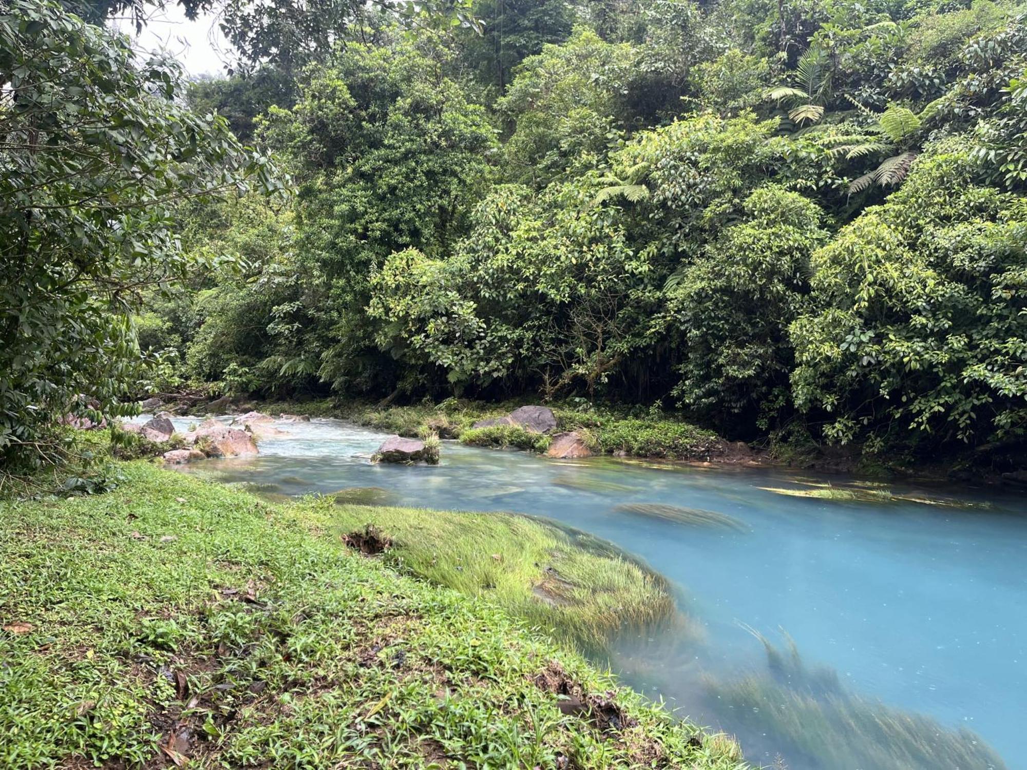 Cacao Río Celeste 2*