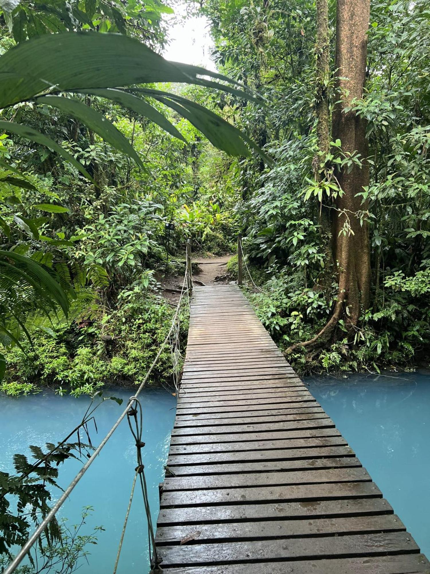 Cacao Río Celeste Bijagua