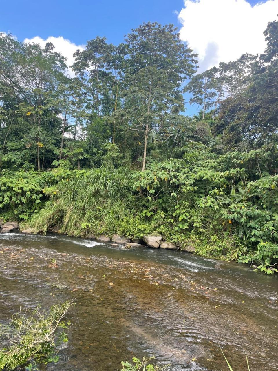 Cacao Río Celeste Hotel 2*